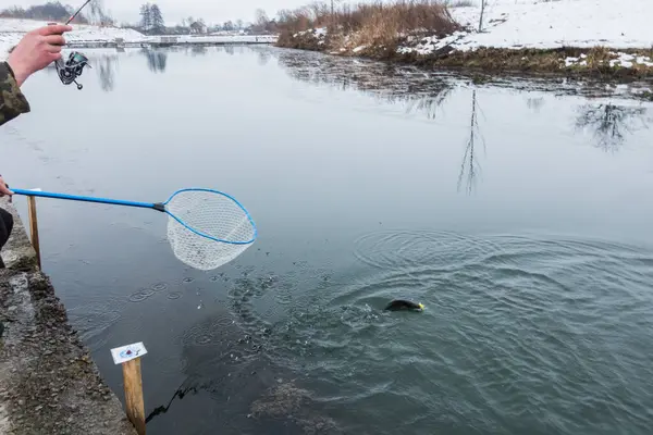 Forellenangeln Auf Dem See — Stockfoto