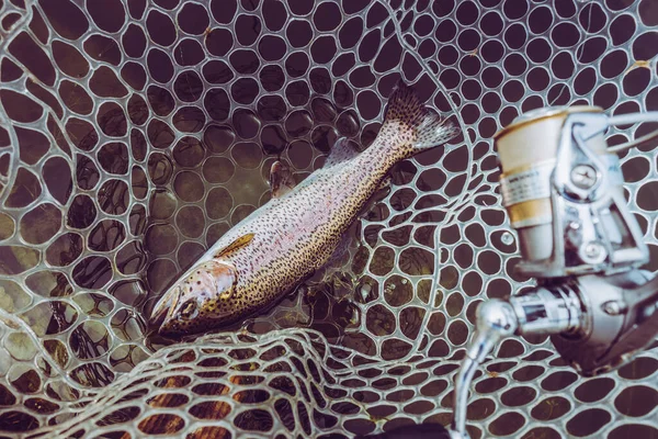 湖でのマス釣り — ストック写真