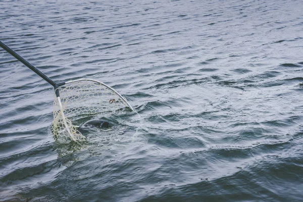 Pesca Truta Lago — Fotografia de Stock