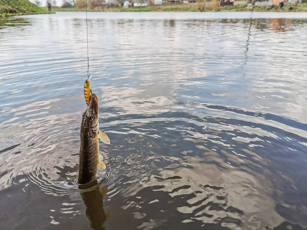 Pesca Riposo Campagna Contesto Sul Tema Della Ricreazione — Foto Stock