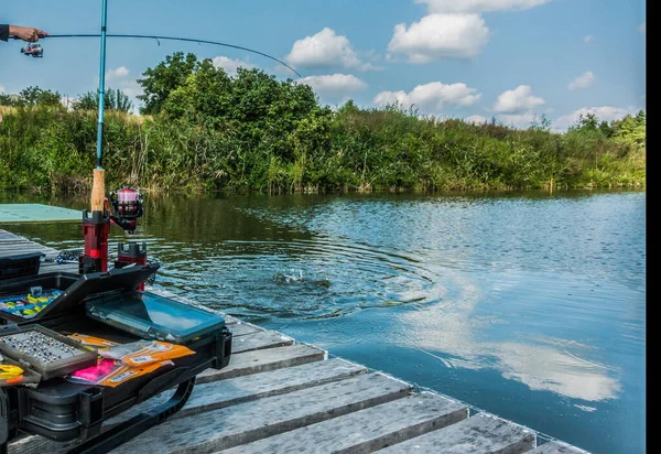 Pesca Fondo Del Lago — Foto de Stock