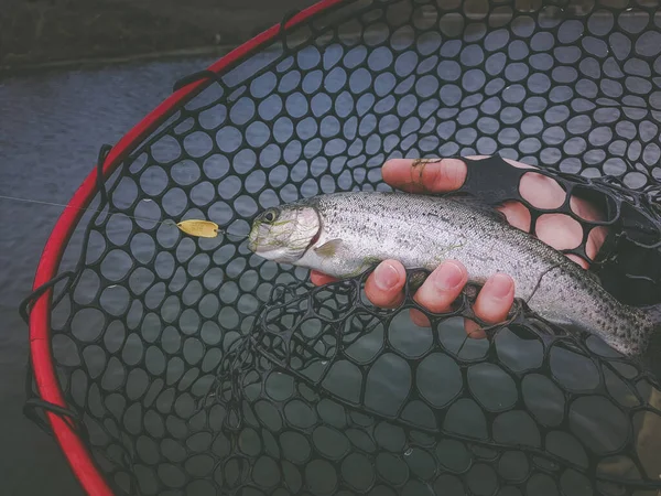 Contesto Tema Pesca — Foto Stock