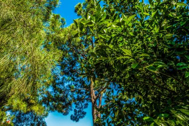 Muhteşem sahil resort manzaralar