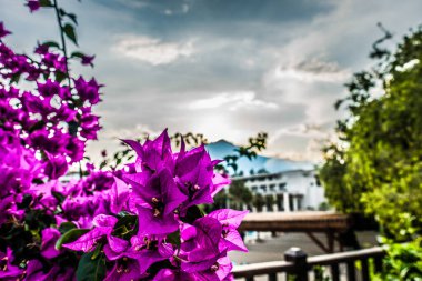 Bir tatil beldesi olarak güzel deniz manzarası