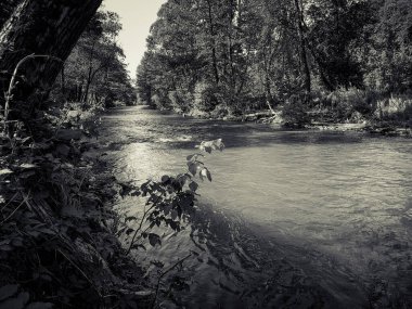 Güzel hızlı nehir doğası arka planı