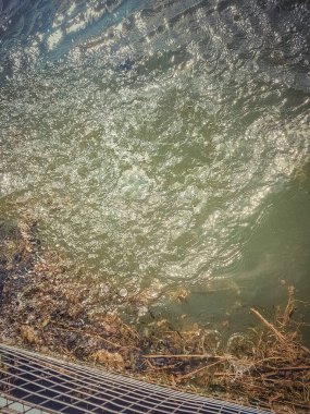 Gölde balık tutmak