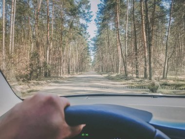 Güzel orman yolu geçmişi