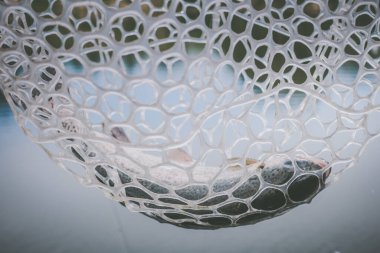 Gölde alabalık avı