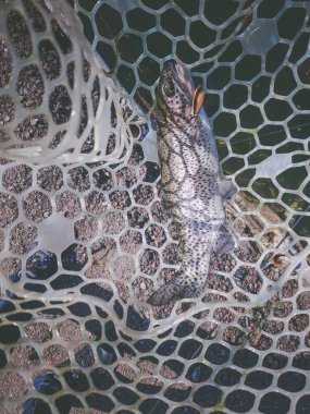 Bir balıkçı tema arka plan