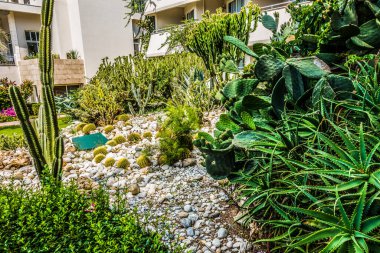 Güzel tatil beldesi. Yeşil ve çiçekler