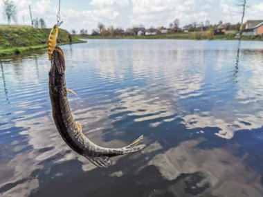 Balıkçılık, köy dinlenmesi. Rekreasyon temasının arkaplanı