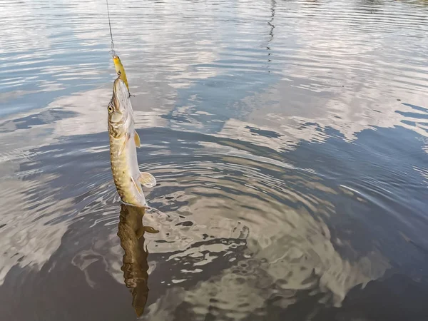 Pesca Descanso Rural Contexto Sobre Tema Recreación — Foto de Stock