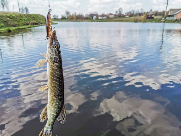 Pesca Riposo Campagna Contesto Sul Tema Della Ricreazione — Foto Stock