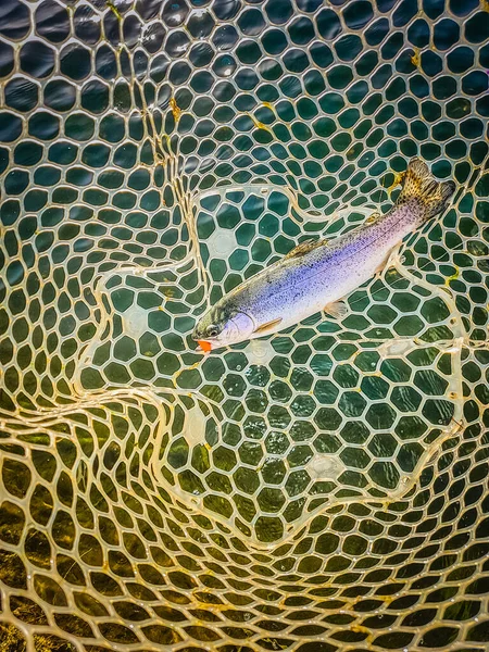 Fishing Lake — Stock Photo, Image