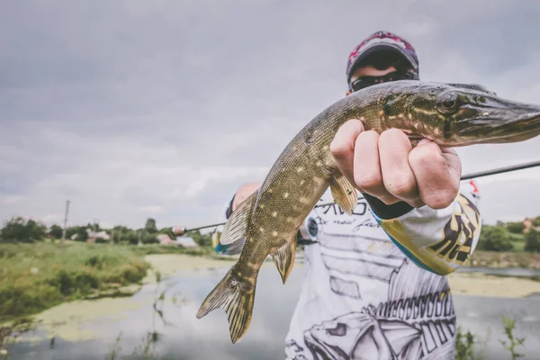 Pêche Brochet Sur Lac — Photo