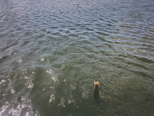 호수에서 고기잡는 — 스톡 사진