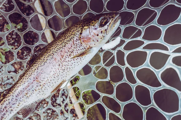 Pesca Alla Trota Sul Lago — Foto Stock