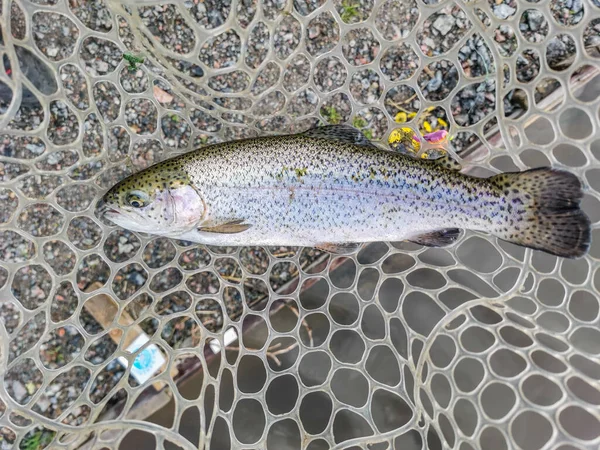 Pesca Descanso Rural Antecedentes Sobre Tema Recreação — Fotografia de Stock