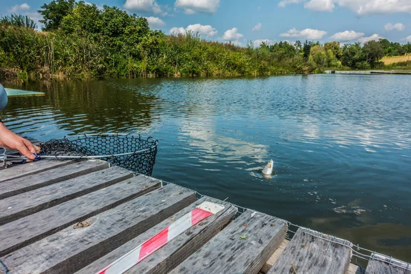 Fiske Sjön Bakgrunden — Stockfoto