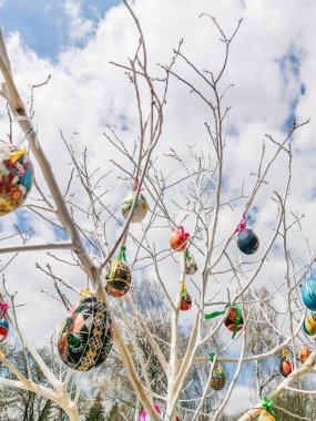 Paskalya yumurtaları ahşap dallar üzerinde Paskalya teması