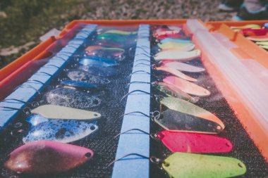 Balıkçı yakalamak gökkuşağı alabalığı Gölü