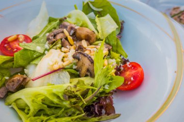 Beyaz bir plaka üzerinde dana Carpaccio