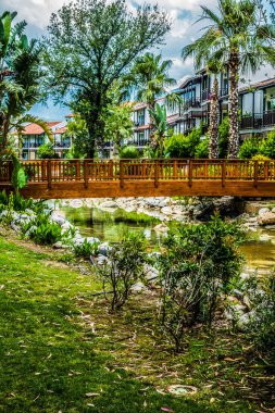 Deniz kenarındaki güzel resort peyzaj