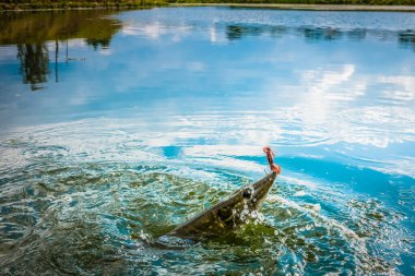 Gölde balık tutmak.