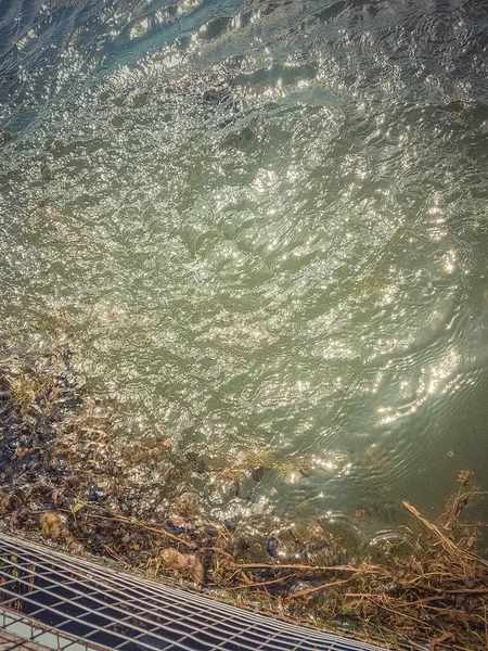 호수에서 고기잡는 — 스톡 사진