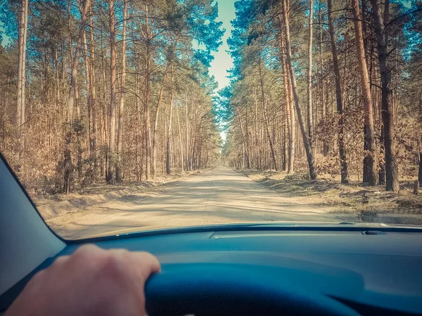 Vacker Skog Väg Bakgrund — Stockfoto