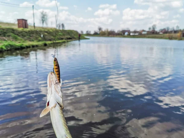 Pesca Riposo Campagna Contesto Sul Tema Della Ricreazione — Foto Stock