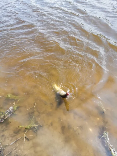 Pesca Descanso Rural Antecedentes Sobre Tema Recreação — Fotografia de Stock