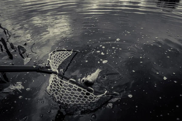 Pesca Alla Trota Sul Lago — Foto Stock