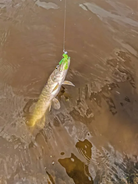 Pesca Descanso Rural Contexto Sobre Tema Recreación — Foto de Stock