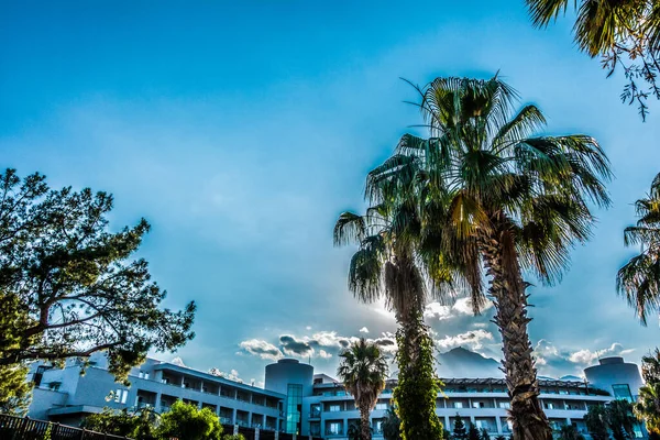 Beautiful Seaside Resort Landscaping — Stock Photo, Image