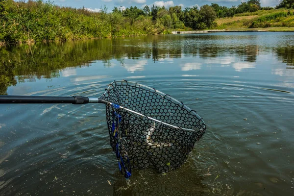 Pesca Lúcio Lago — Fotografia de Stock