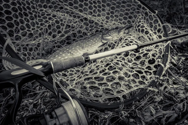 Pesca Del Luccio Sul Lago — Foto Stock