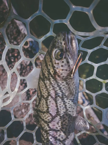 Hintergrund Einem Fischereithema — Stockfoto