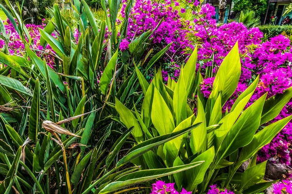 Beautiful Seaside Resort Landscaping Travel Background — Stock Photo, Image