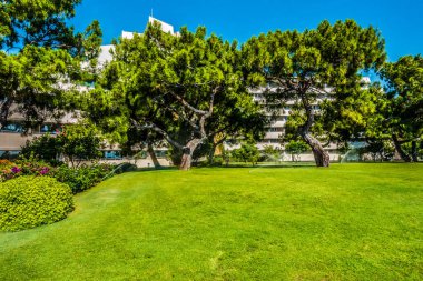 Güzel tatil beldesi. Yeşil ve çiçekler