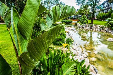 Deniz kenarındaki güzel resort peyzaj