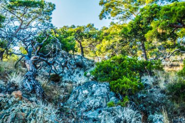 Muhteşem sahil resort manzaralar