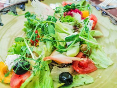 Sebze salatası tabağın arkasında.