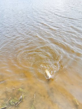 Balıkçılık, köy dinlenmesi. Rekreasyon temasının arkaplanı
