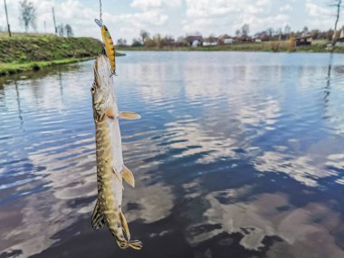 Balıkçılık, köy dinlenmesi. Rekreasyon temasının arkaplanı
