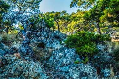 Muhteşem sahil resort manzaralar