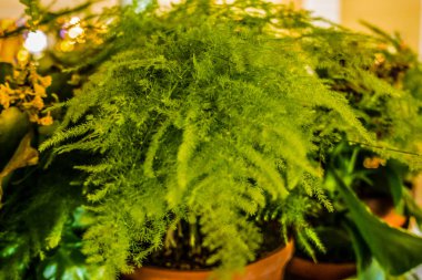 Muhteşem sahil resort manzaralar