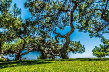 Güzel deniz resort. Yaz tatili