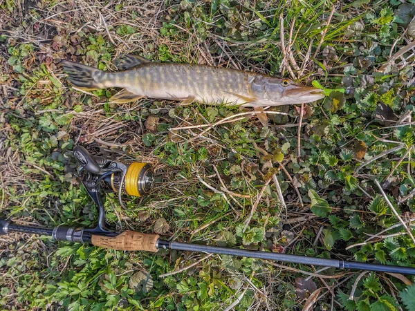 Pesca Descanso Rural Contexto Sobre Tema Recreación — Foto de Stock