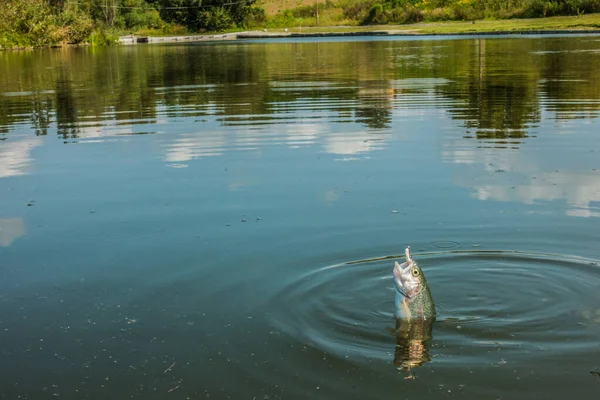 Рыбалка Озере — стоковое фото